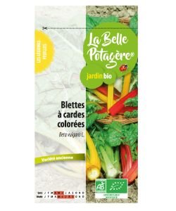 Blettes à cardes colorées BIO,